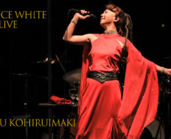 小比類巻かほる　Maurice White　Live