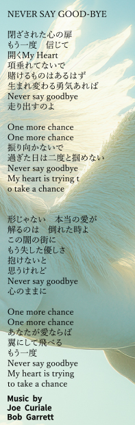 NEVER SAY GOOD-BYE NEVER SAY GOOD-BYE